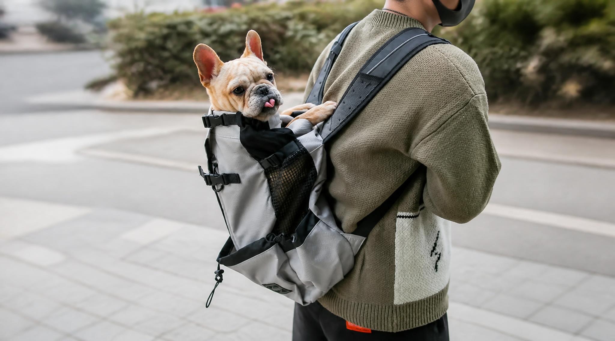 Everything Pet Parents Need for Life on the Go With Novari Life